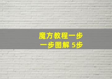 魔方教程一步一步图解 5步